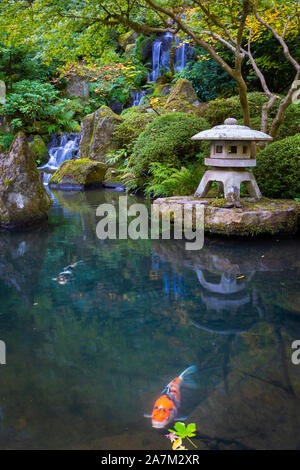 Der Portland Japanische Garten ist ein traditioneller japanischer Garten, 12 Hektar, in Washington Park im Westen Hügel von Portland, Oregon Stockfoto