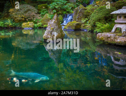 Der Portland Japanische Garten ist ein traditioneller japanischer Garten, 12 Hektar, in Washington Park im Westen Hügel von Portland, Oregon Stockfoto