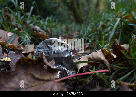 Ein Bier kann man im Wald links Stockfoto