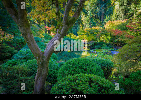 Der Portland Japanische Garten ist ein traditioneller japanischer Garten, 12 Hektar, in Washington Park im Westen Hügel von Portland, Oregon Stockfoto