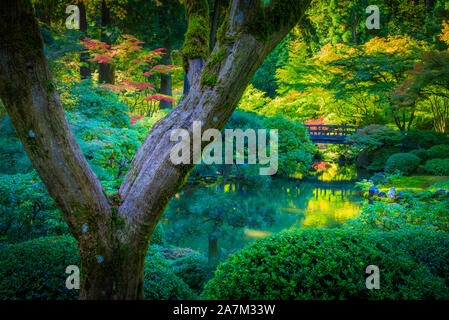 Der Portland Japanische Garten ist ein traditioneller japanischer Garten, 12 Hektar, in Washington Park im Westen Hügel von Portland, Oregon Stockfoto