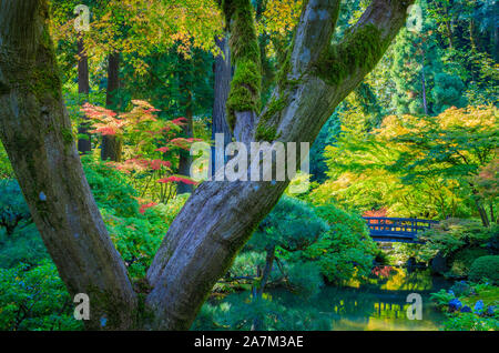 Der Portland Japanische Garten ist ein traditioneller japanischer Garten, 12 Hektar, in Washington Park im Westen Hügel von Portland, Oregon Stockfoto