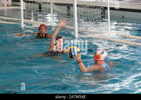 Roma, Italien. 3 Nov, 2019. difesa sis romaduring Dunaujvaros (HUN) vs SIS Roma (ITA), Wasserball EuroLeague Frauen Meisterschaft in Roma, Italien, 03.November 2019 - LPS/Luigi Mariani Credit: Luigi Mariani/LPS/ZUMA Draht/Alamy leben Nachrichten Stockfoto