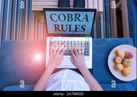 Wort schreiben Text Cobra Regeln. Business Foto präsentiert die Gruppe Krankenversicherung nach einem Job Verlust Frau laptop computer Büro-Support Stockfoto