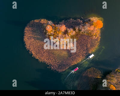 Luftaufnahme über eine Insel. Die Insel ist als ein grünes Herz gebildet. Durch Wasser, Ozean, Meer, See Stockfoto