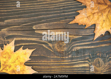 Ansicht von oben Bild der trockenen Herbst Blätter über Holz- strukturierten Hintergrund. Leeren Raum für Kopieren, Text, Schrift. Stockfoto