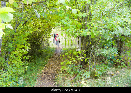 Backpackers durch einen Wald in Spanien Stockfoto