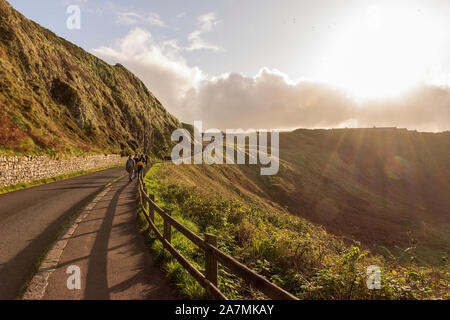 Giant's Causeway Nachmittag, Nordinsel Irland, Vereinigtes Königreich Stockfoto