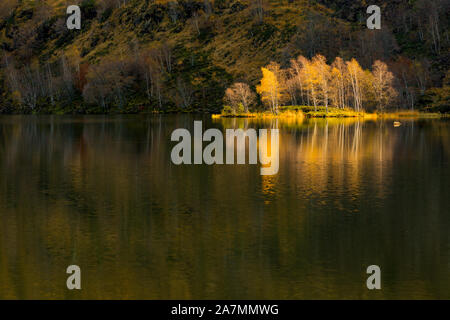 Eine Welle von Herbst Sonnenlicht schlägt eine Gruppe von Bäumen auf einer Halbinsel im Teich Lers (Etang de Lers), in der Nähe von Aulus-les-Bains, Ariège, Frankreich Stockfoto