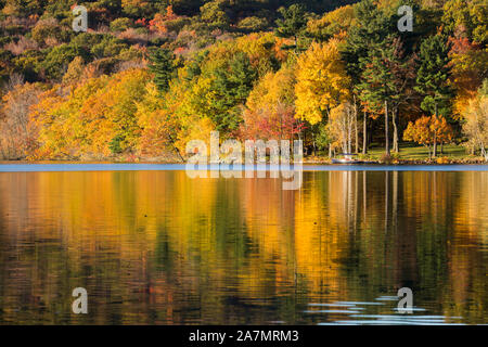 Mont St. Bruno National Park, Quebec, Kanada im Herbst Stockfoto