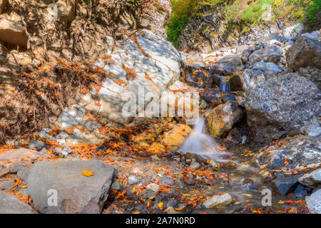 Kleiner Bach in einem Bergwald Stockfoto