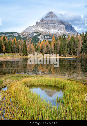 Idyllische herbst Blick auf See d'Antorno mit dem Tre Cime di Lavaredo im Hintergrund. Venetien, Italien. Stockfoto