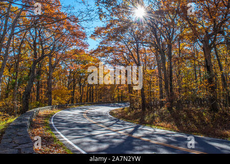 Herbst Farbe auf Bäumen entlang der gewundenen Straße Stockfoto