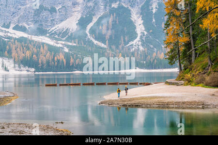 Nebliger Herbst morgen am See Prags, Provinz Bozen, Trentino Alto Adige, Italien. Stockfoto