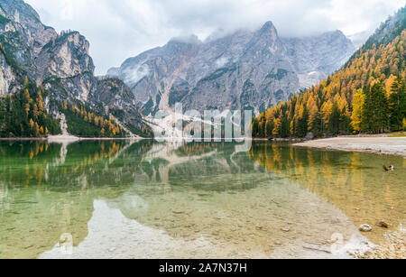 Nebliger Herbst morgen am See Prags, Provinz Bozen, Trentino Alto Adige, Italien. Stockfoto