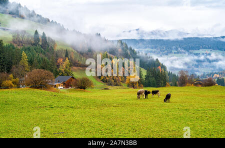 Nebliger Herbst morgen in der Nähe Prags, Provinz Bozen, Trentino Alto Adige, Italien. Stockfoto