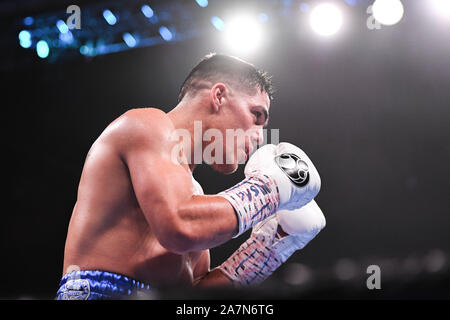 Oxon Hill, Maryland, USA. 3. November, 2019. BRIAN CASTANO aus Argentinien in Aktion während des Super Welterweight bout bei MGM National Harbor in Oxon Hill, Maryland statt. Credit: Amy Sanderson/ZUMA Draht/Alamy leben Nachrichten Stockfoto