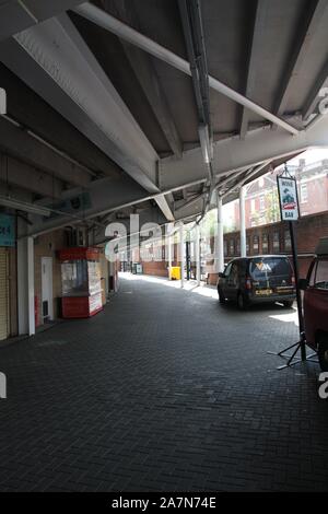 Kia Oval Cricket Stadion, London, England, Großbritannien Stockfoto