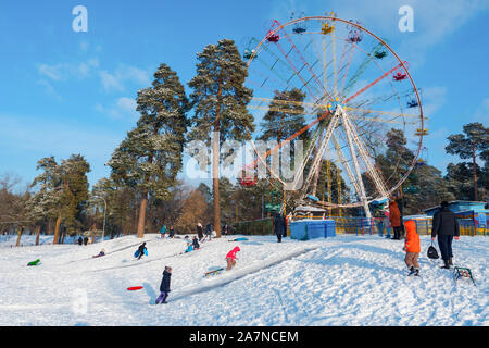 Aktivitäten im Winter im Park. Skigebiet für Anfänger. Verschneite Hügel mit Riesenrad mit Pinien im Hintergrund. Kinder Spaß an sonnigen Wintertag. Winterurlaub Hintergrund. Winter Resort Stockfoto