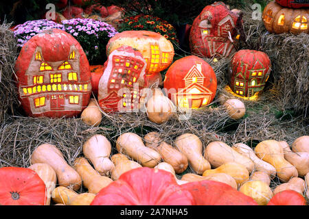 Halloween Kürbisse mit Licht im Inneren und bunt Stillleben mit Blumen und Heu Stockfoto