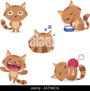 Katze-Set, mit fünf verschiedenen Katzen in verschiedenen Situationen wie: stehend, Milch zu trinken, schlafen, lachen und spielen mit Wolle Vektor-Illustration Stock Vektor