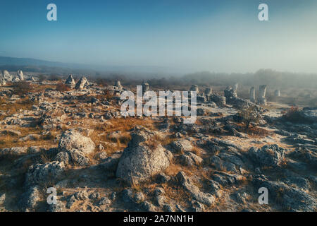 Sonnenaufgang Nebel über Stone Forest Pobiti Kamani Bildung genannt, Sehenswürdigkeiten in der Nähe von Varna, Bulgarien Stockfoto