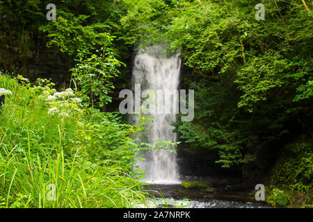 23. August 2019. Die kleinen schnell laufenden Fluss am Glencar Wasserfall meist dazu gebracht, County Sligo, Irland. Der Glen und fällt ist ein beliebter Ort für Land Stockfoto