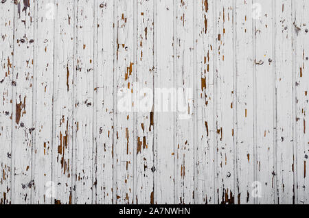In der Nähe von Alte weiße Wand Planken, Blätterte. Stockfoto