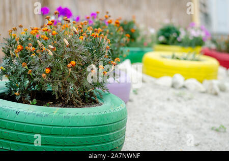 Sommer Straße Dekoration.. Verschiedene Arten von Blumen blühen in den Töpfen aus bunten Autoreifen auf einer Promenade in der Nähe von Meer. Stockfoto