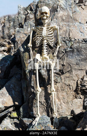 Skelett stehend gegen die Felsen in der Wüste Stockfoto