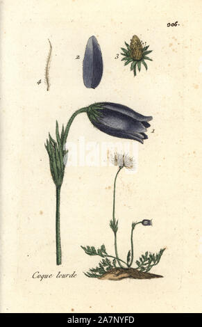 Pasque flower, Pulsatilla vulgaris. Papierkörbe botanischen ausgearbeitet und von Pierre Bulliard aus seinem eigenen 'Flora Parisiensis graviert", 1776, Paris, S. F. Didot. Pierre Bulliard (1752-1793) war ein berühmter französischer Botaniker die drei-Farben-platte Drucktechnik. Seine Einführung in die Blüten der Pariser 640 Pflanzen. Stockfoto