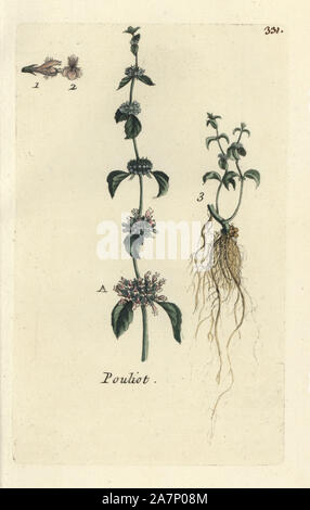 Poleiminze, Mentha pulegium. Papierkörbe botanischen ausgearbeitet und von Pierre Bulliard aus seinem eigenen 'Flora Parisiensis graviert", 1776, Paris, S. F. Didot. Pierre Bulliard (1752-1793) war ein berühmter französischer Botaniker die drei-Farben-platte Drucktechnik. Seine Einführung in die Blüten der Pariser 640 Pflanzen. Stockfoto