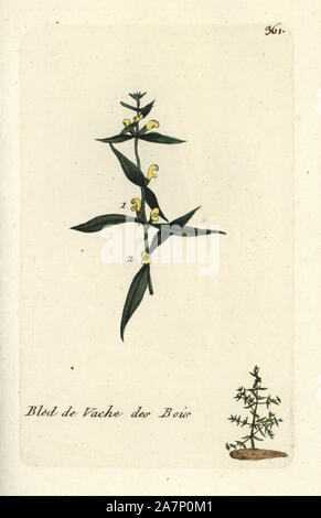 Kleine Kuh - Weizen, Melampyrum Sylvaticum. Papierkörbe botanischen ausgearbeitet und von Pierre Bulliard aus seinem eigenen 'Flora Parisiensis graviert", 1776, Paris, S. F. Didot. Pierre Bulliard (1752-1793) war ein berühmter französischer Botaniker die drei-Farben-platte Drucktechnik. Seine Einführung in die Blüten der Pariser 640 Pflanzen. Stockfoto