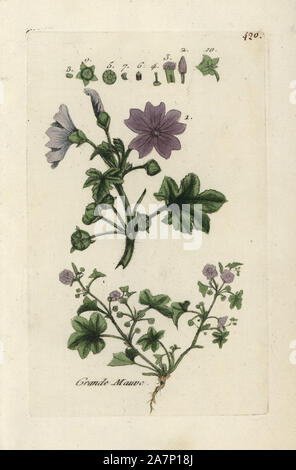 Gemeinsame malve Malva Sylvestris. Papierkörbe botanischen ausgearbeitet und von Pierre Bulliard aus seinem eigenen 'Flora Parisiensis graviert", 1776, Paris, S. F. Didot. Pierre Bulliard (1752-1793) war ein berühmter französischer Botaniker die drei-Farben-platte Drucktechnik. Seine Einführung in die Blüten der Pariser 640 Pflanzen. Stockfoto