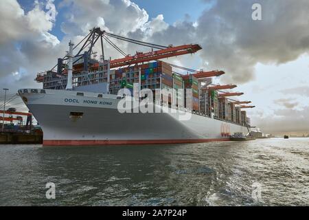 Riesige Containerschiffe in Rotterdam. Stockfoto