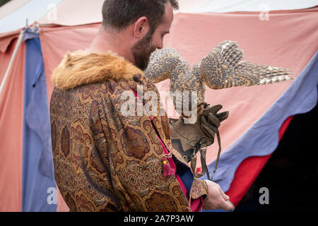 St Ives, Sydney, Australien - 21. September 2019: Masked Owl Feeds aus der Hand des Trainers bei "Greifvögel" Ausstellung in St Ives mittelalterlichen Faire Stockfoto