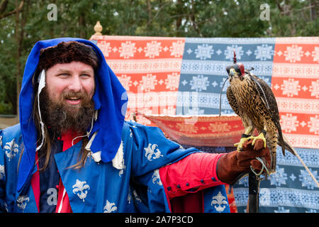 St Ives, Sydney, Australien - 21. September 2019: Wanderfalke sitzt auf des Trainers Hand bei "Greifvögel" Ausstellung in St Ives mittelalterlichen Faire Stockfoto