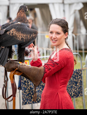 St Ives, Sydney, Australien - 21. September 2019: Captive wedge tailed eagle mit weiblichen Trainer/Handler im roten Kleid immer bereit für Flug Ausstellung ein Stockfoto