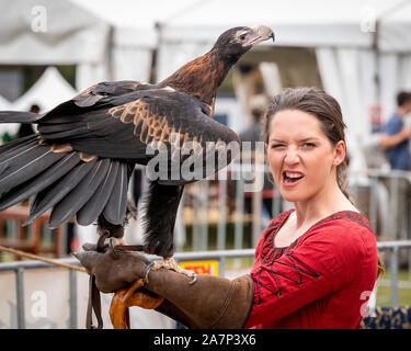 St Ives, Sydney, Australien - 21. September 2019: Captive wedge tailed eagle mit weiblichen Trainer/Handler im roten Kleid auf Kamera bereit für f Stockfoto