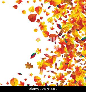 Blätter im Herbst zerstreut Hintergrund. Eiche, Ahorn und Rowan Stock Vektor