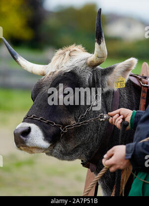 Lorsch, Deutschland. 16 Okt, 2019. Claus Kropp (r), Leiter der