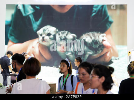 Pet-Liebhaber Herde zu sehen süße Haustiere an der Pet-Messe Asien 2019, das ist der 22. des Fairen, beginnt in Shanghai, China, 21. August 2019. *** Lokale Capti" Stockfoto