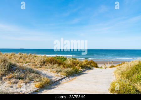 Holzsteg durch die Dünen zum Meer in Papamoa, Tauranga Neuseeland. Stockfoto