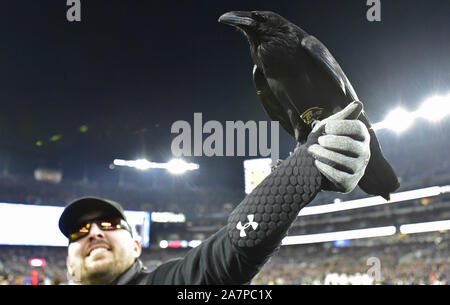 Baltimore, USA. 03 Nov, 2019. Baltimore Ravens Maskottchen steigen Umfragen M&T Bank Stadium während ein NFL Spiel gegen die New England Patriots in Baltimore, Maryland, Sonntag, 3. November 2019. Foto von David Tulis/UPI Quelle: UPI/Alamy leben Nachrichten Stockfoto