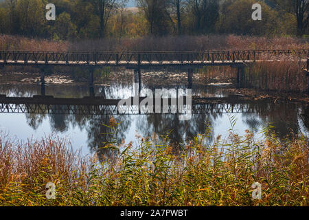 Holzbrücke im Naturpark Kopacki Rit Stockfoto