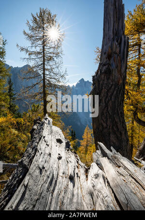 Blick auf den Jalovec Mountain Top in der Mitte Stockfoto