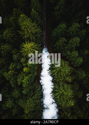 Antenne von Harz Dampflokomotive durch grünen Pinienwald im Herbst mit Steam Cloud während einer Moody Herbst Tag (Harz, Deutschland, Europa) Stockfoto