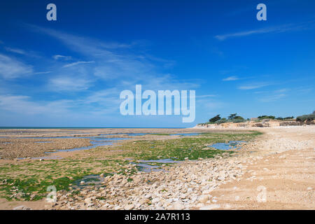 Strand in St. Marie de Re auf der Insel Ile de Re Stockfoto