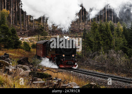 Antik und original Harzer Dampflok durch den Nebel und Dampf bei einem stimmungsvollen Herbsttag mit Orangenbäumen und dunklem Rauch (Deutschland) Stockfoto