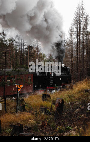 Antik und original Harzer Dampflok durch den Nebel und Dampf bei einem stimmungsvollen Herbsttag mit Orangenbäumen und dunklem Rauch (Deutschland) Stockfoto